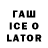 Псилоцибиновые грибы Psilocybine cubensis Paul Lavrinenko