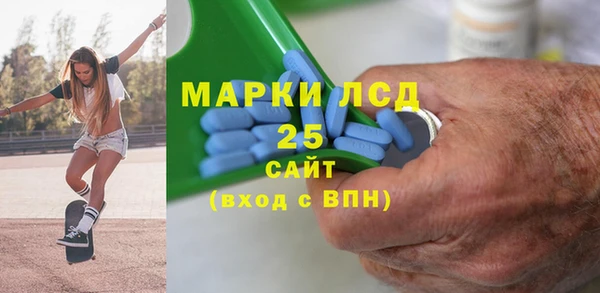 индика Костерёво