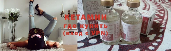 индика Костерёво