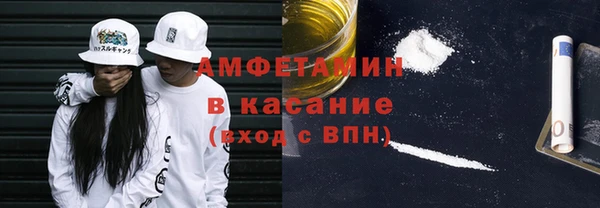 индика Костерёво