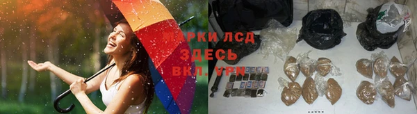сатива Краснослободск