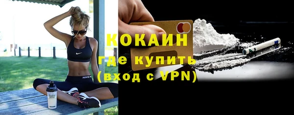 индика Костерёво