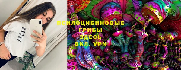 индика Костерёво