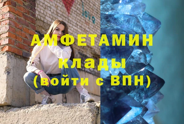 индика Костерёво