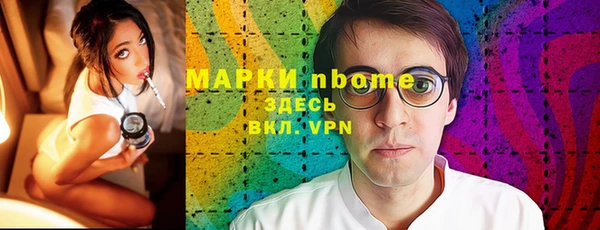 индика Костерёво