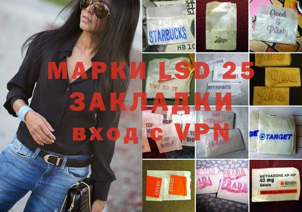 индика Костерёво