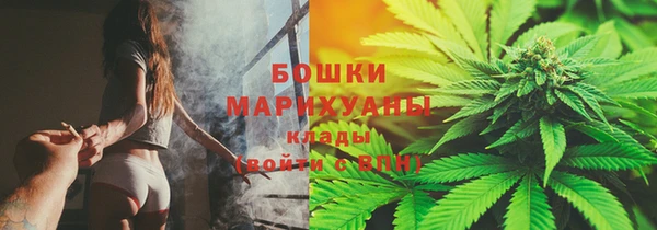 сатива Краснослободск