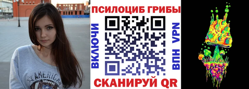 Галлюциногенные грибы Psilocybine cubensis  Купить где  Харабали 